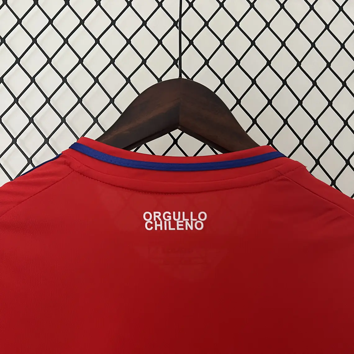 Chile Home 2024 10