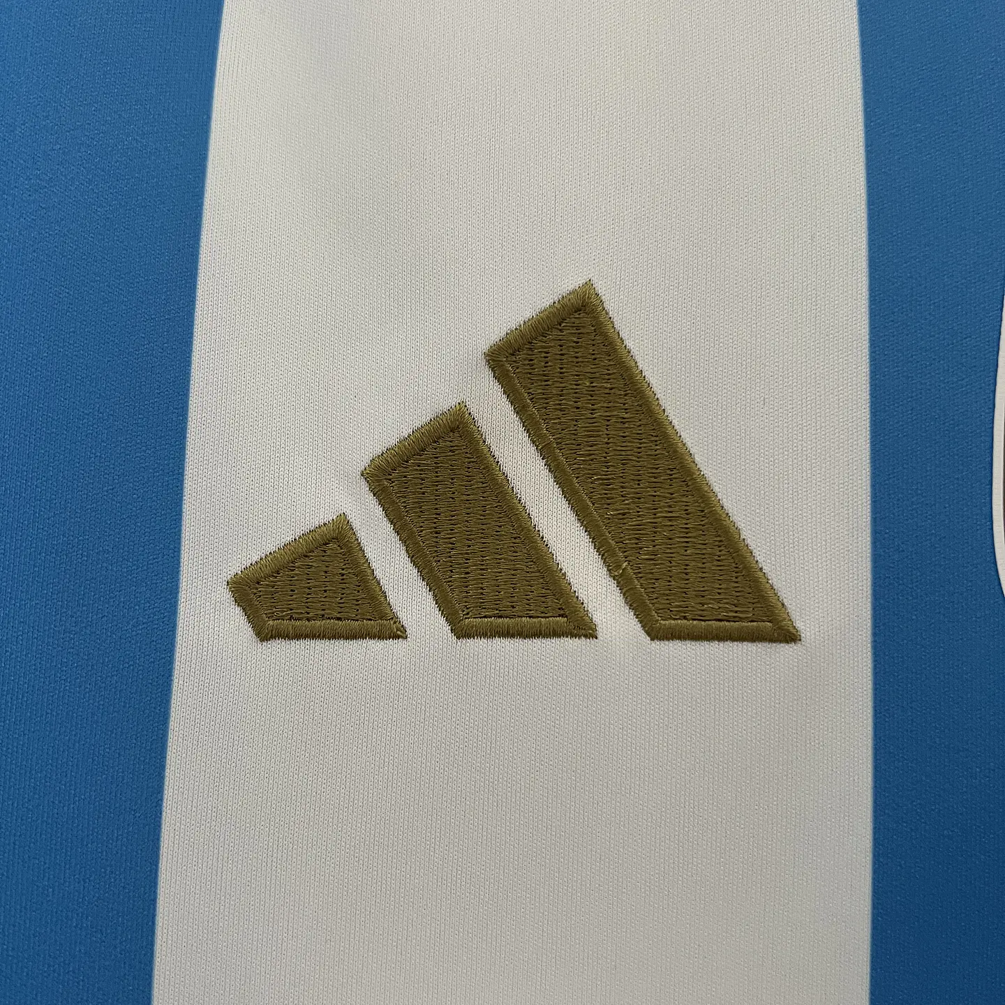 Argentina Home 2024 10
