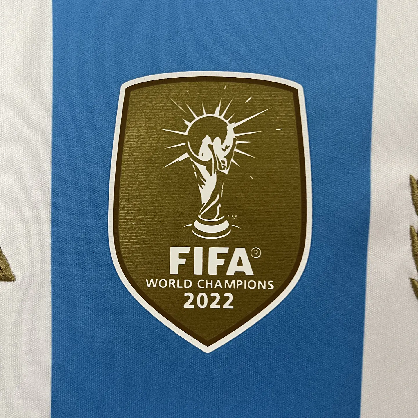 Argentina Home 2024 11