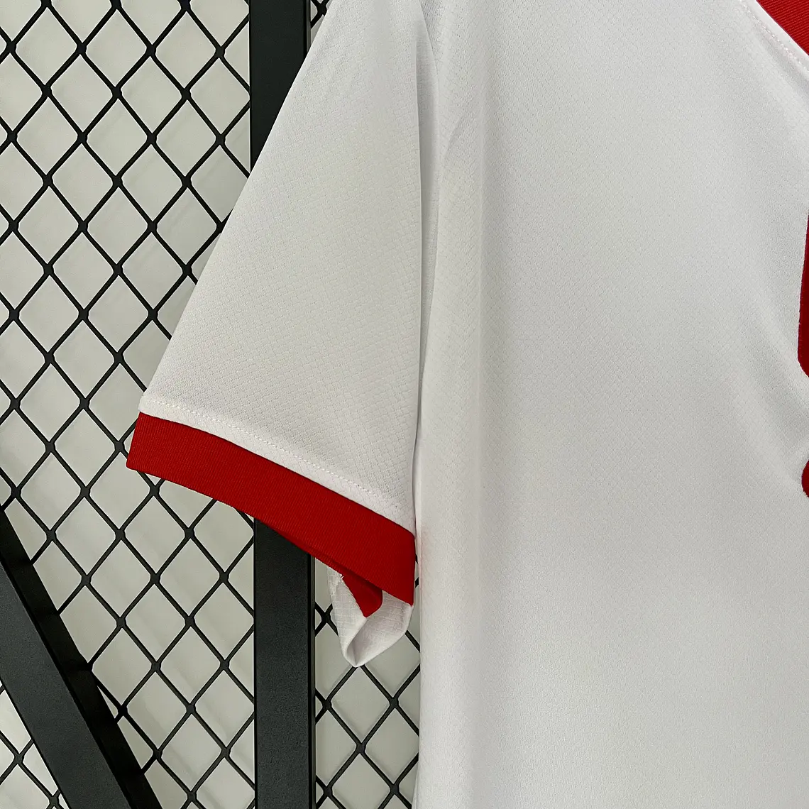 Polónia Home 2024 8