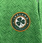 Irlanda Home 2024 - vignette 8