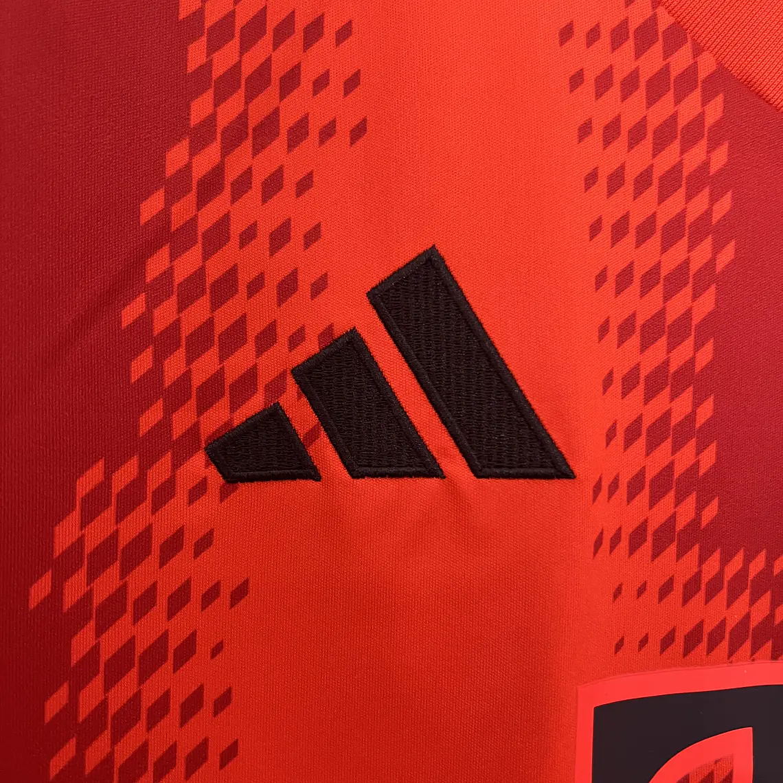 Bayern Home 24/25 9