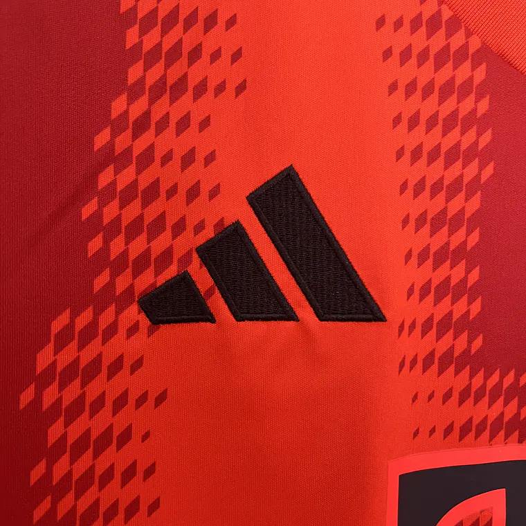 Bayern Home 24/25 9