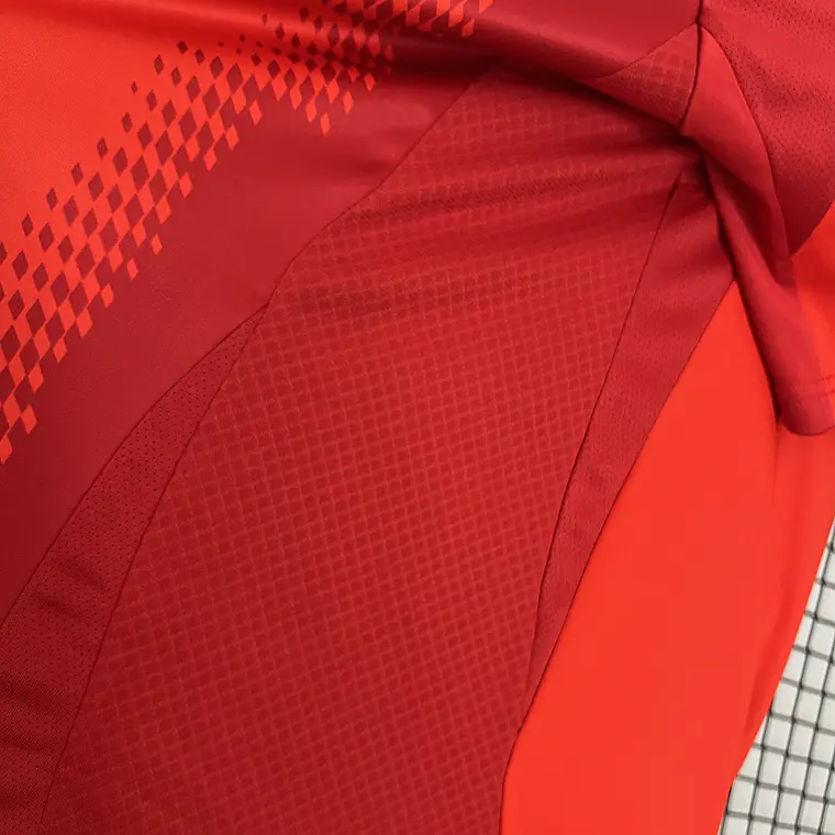Bayern Home 24/25 6