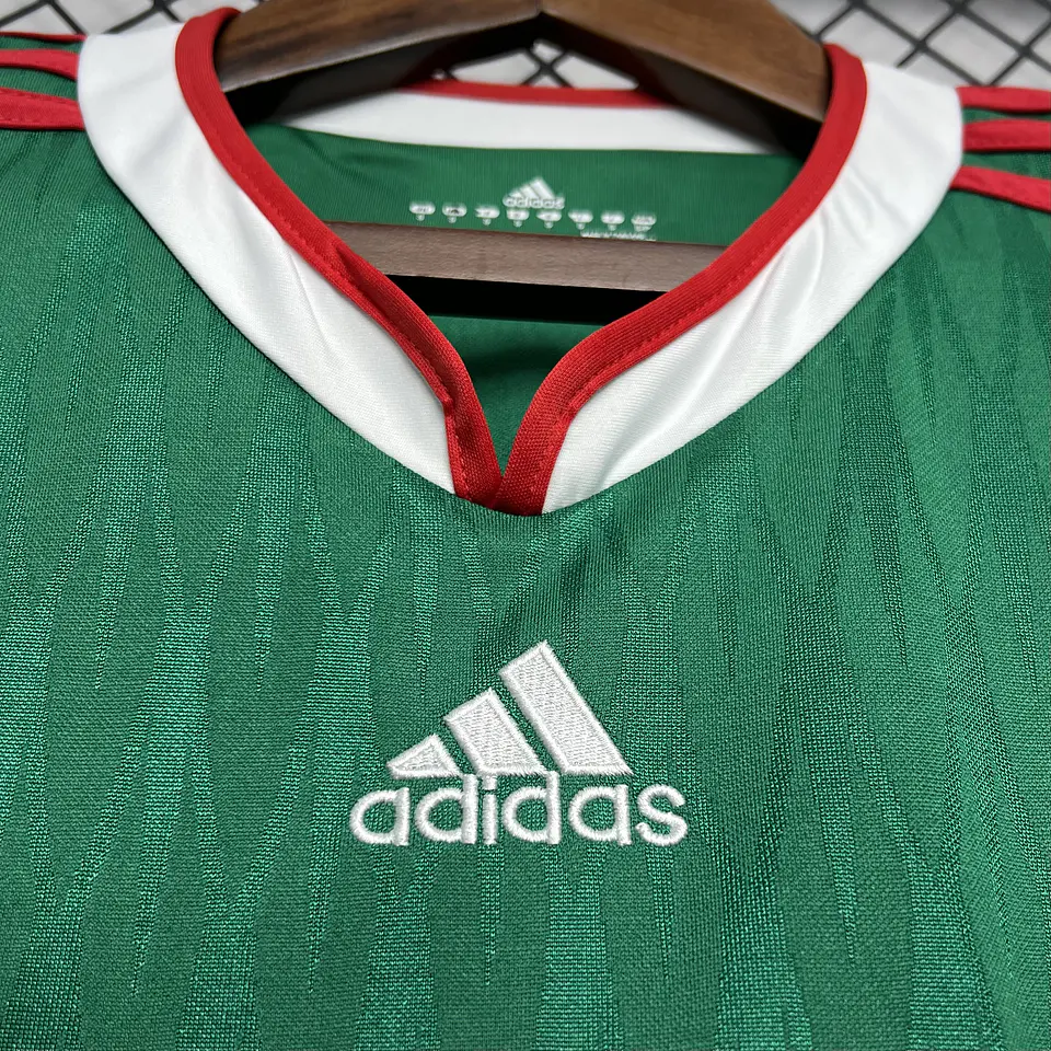 México Home 2010 4