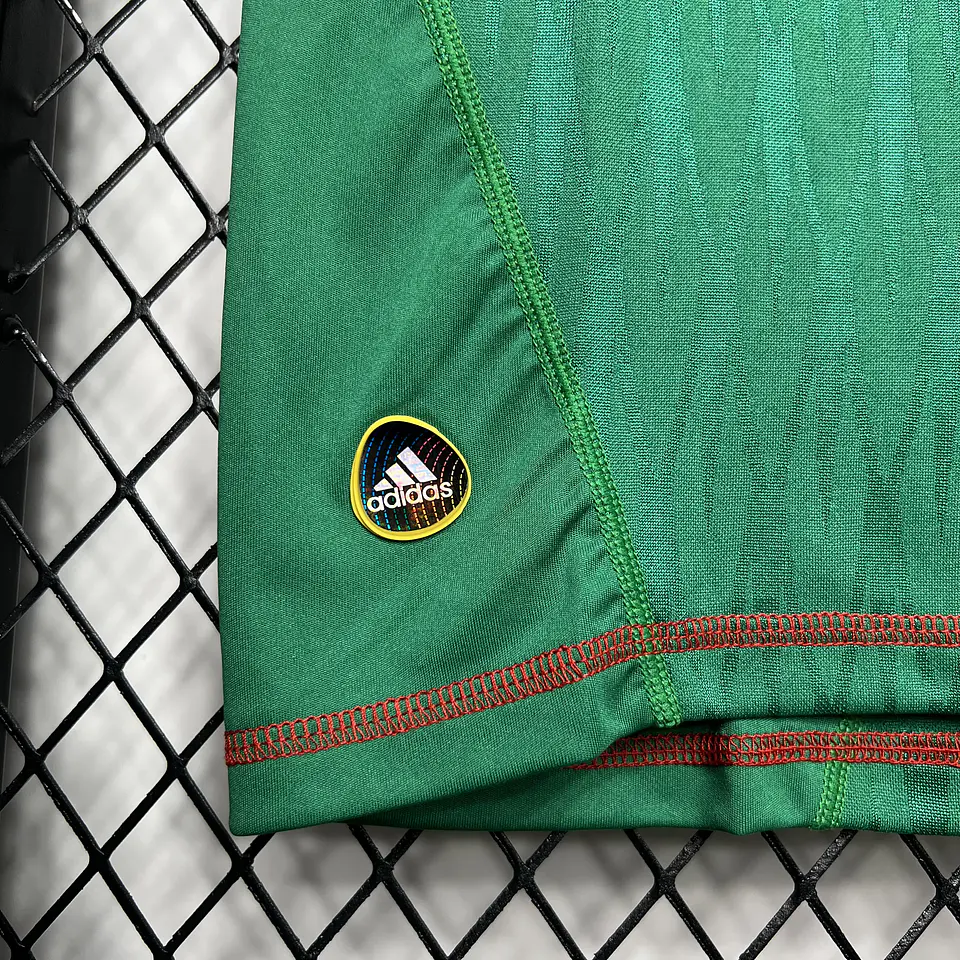 México Home 2010 8