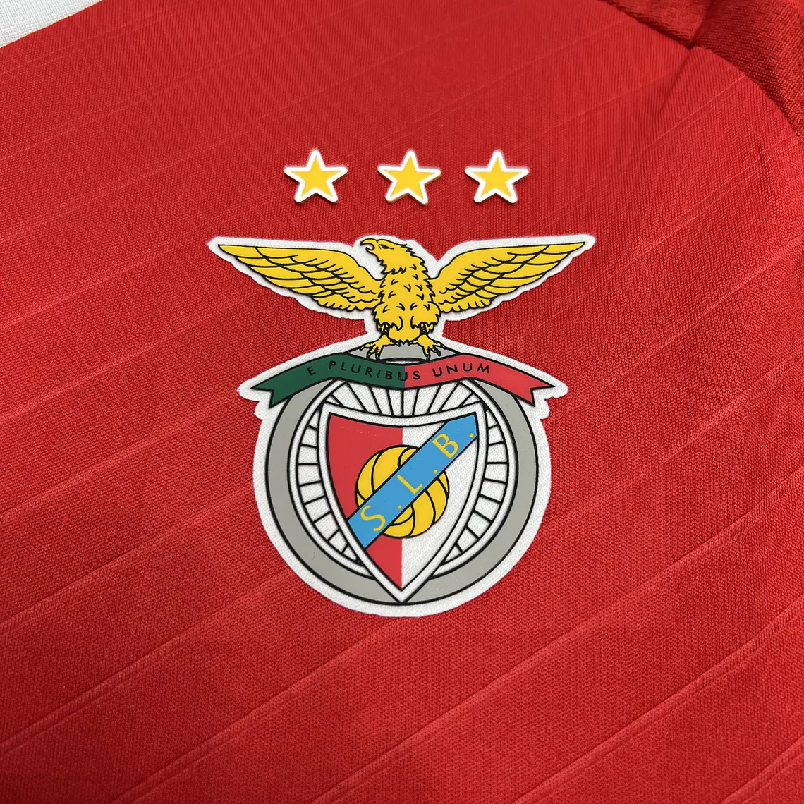Benfica Home 24/25 9