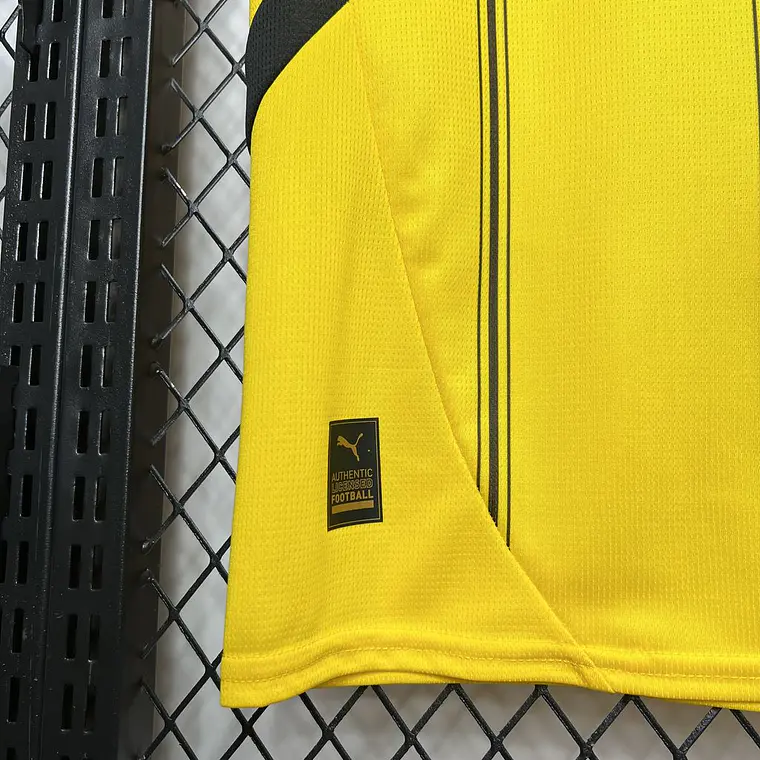 Dortmund Home 24/25 10