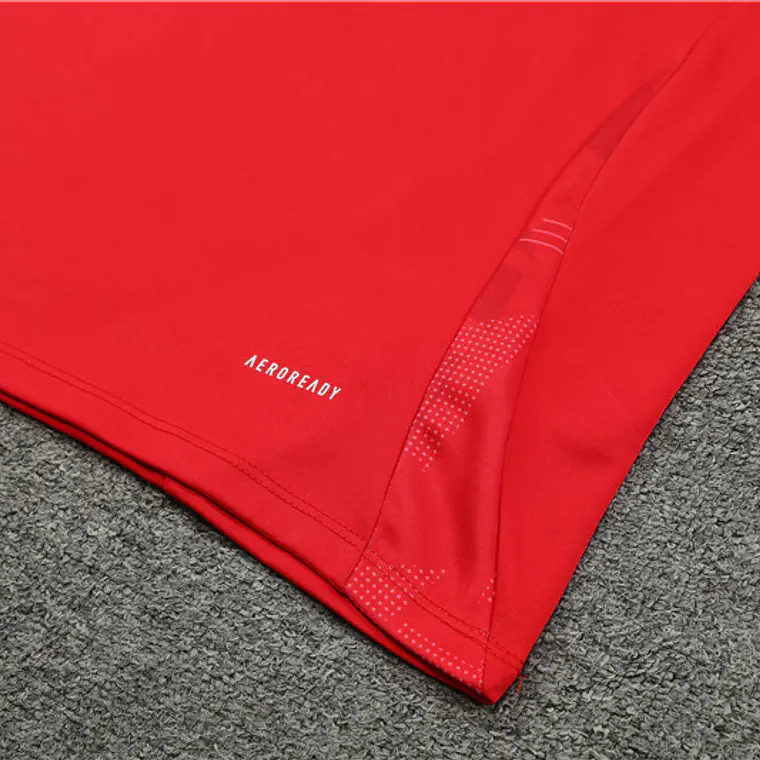 Espanha Fato Treino 1/2 Zip 24/25 5