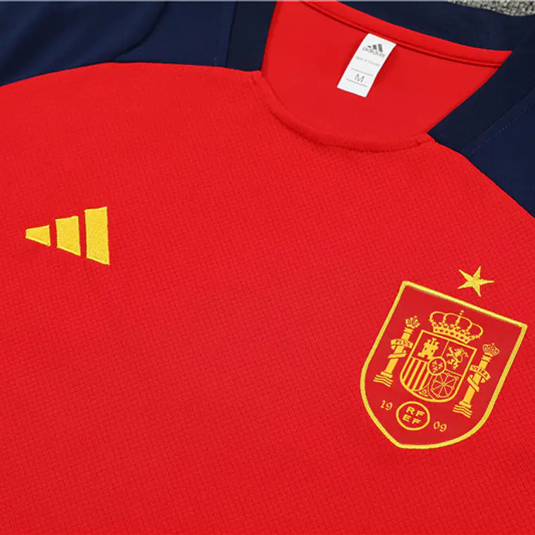 Espanha Conjunto Treino 24/25 3