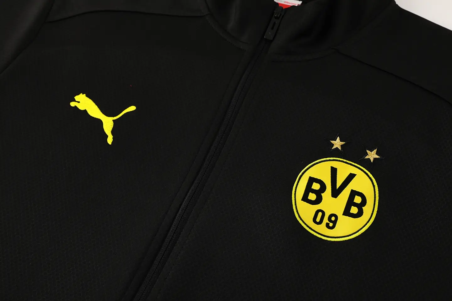 Dortmund Fato Treino Casaco 24/25 2