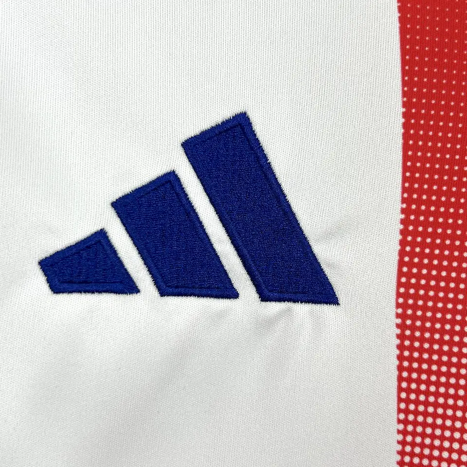 Lyon Home 24/25 6