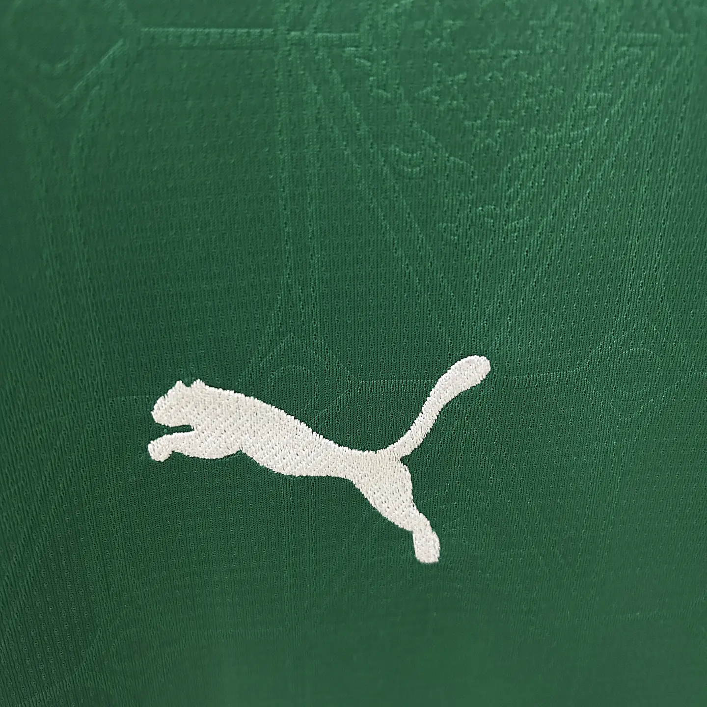 Palmeiras Home 25/26 9