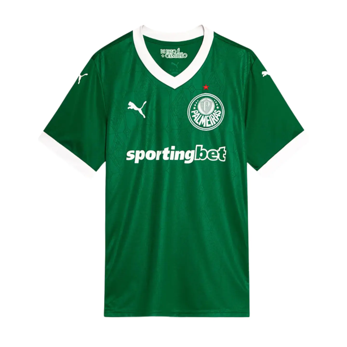 Palmeiras Home 25/26 1