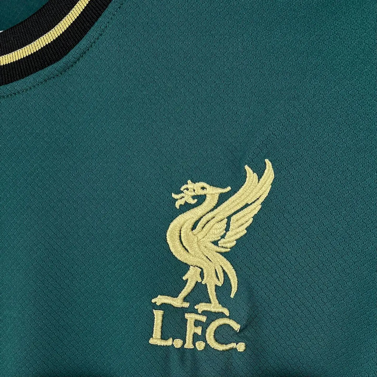 Liverpool Especial Jordan Concept 25/26 5