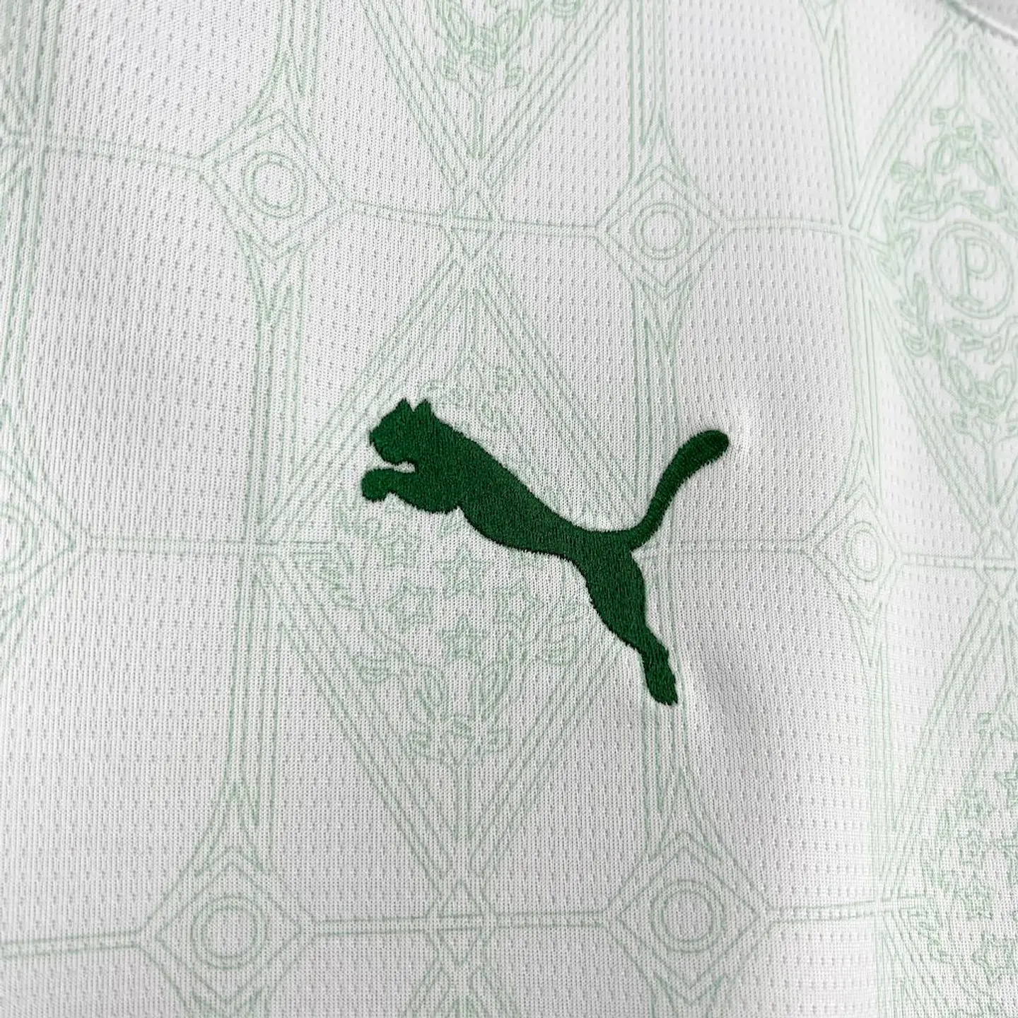 Palmeiras Away 25/26 7