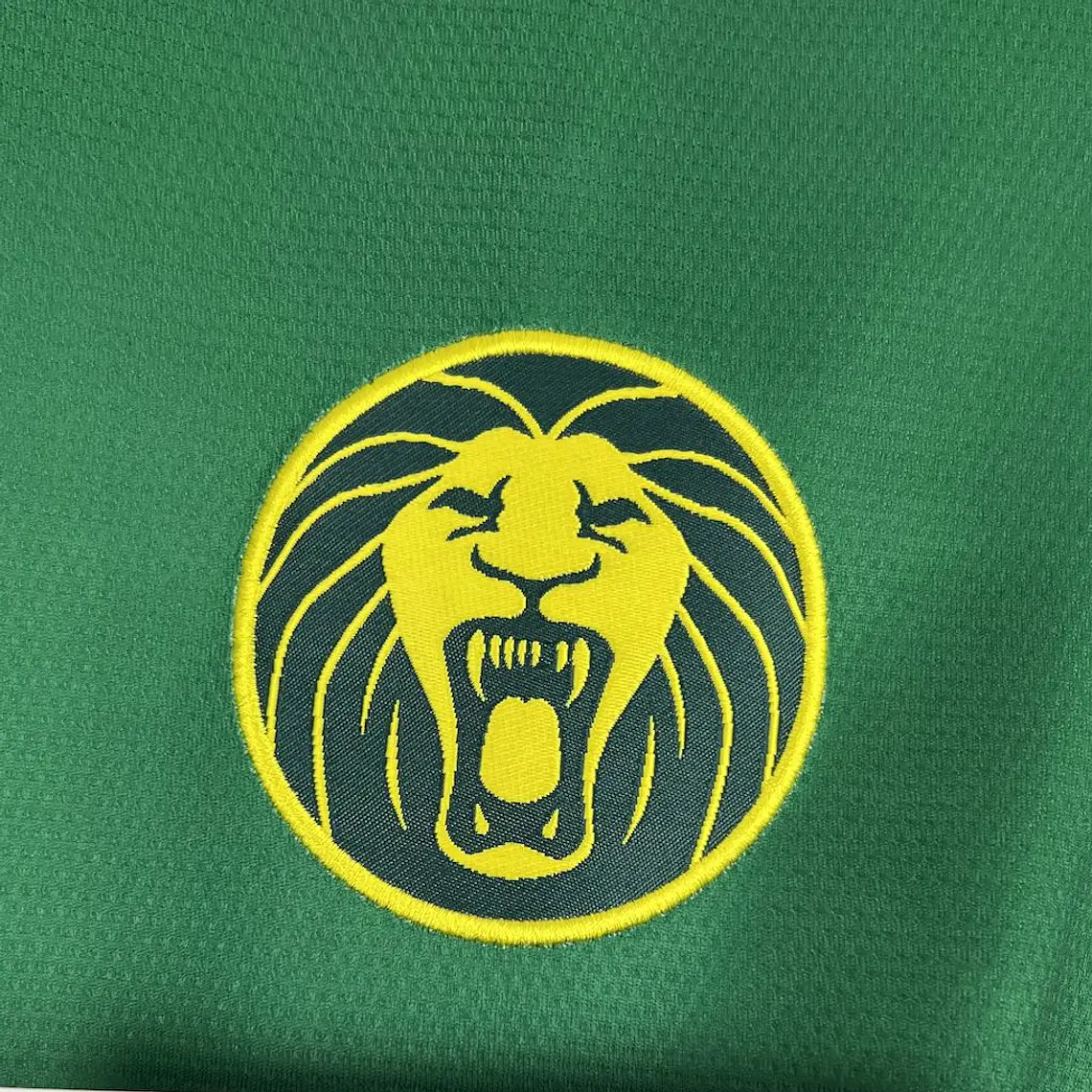 Camarões Home 25/26 6