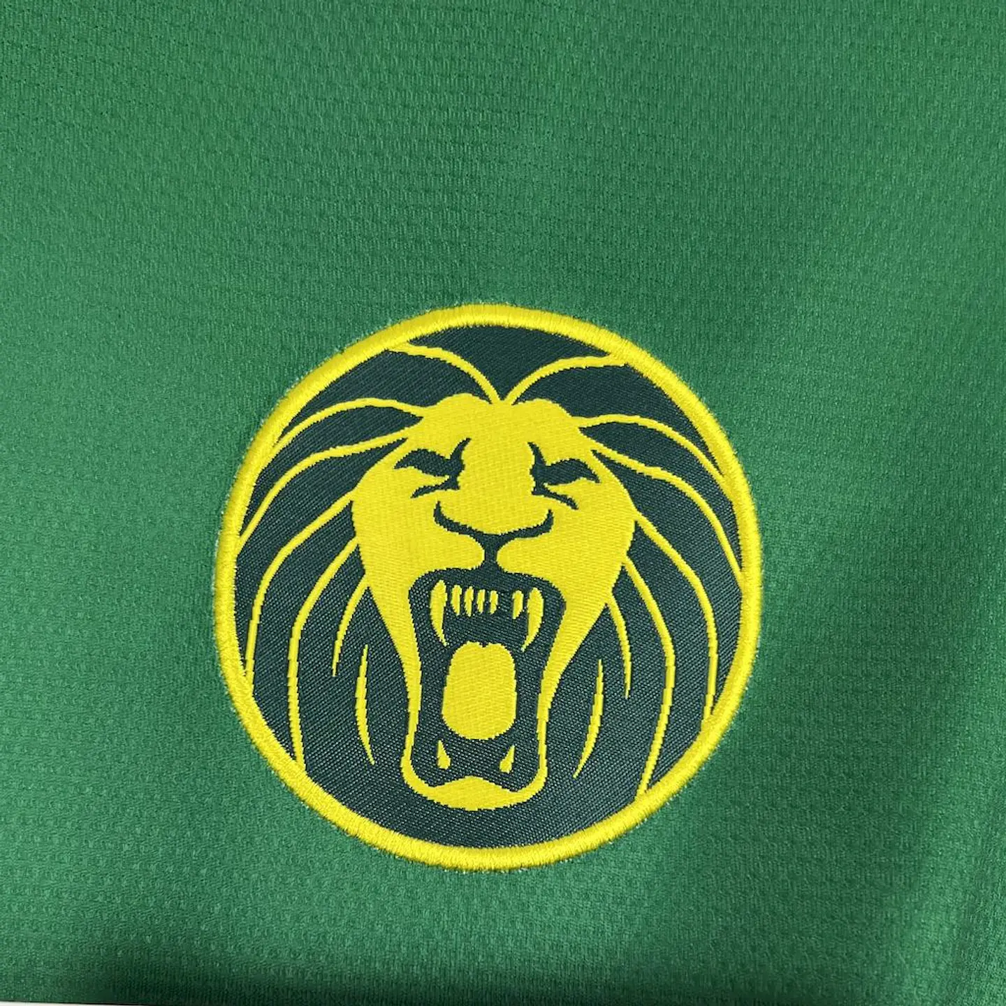 Camarões Home 25/26 6