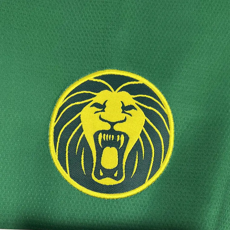 Camarões Home 25/26 6