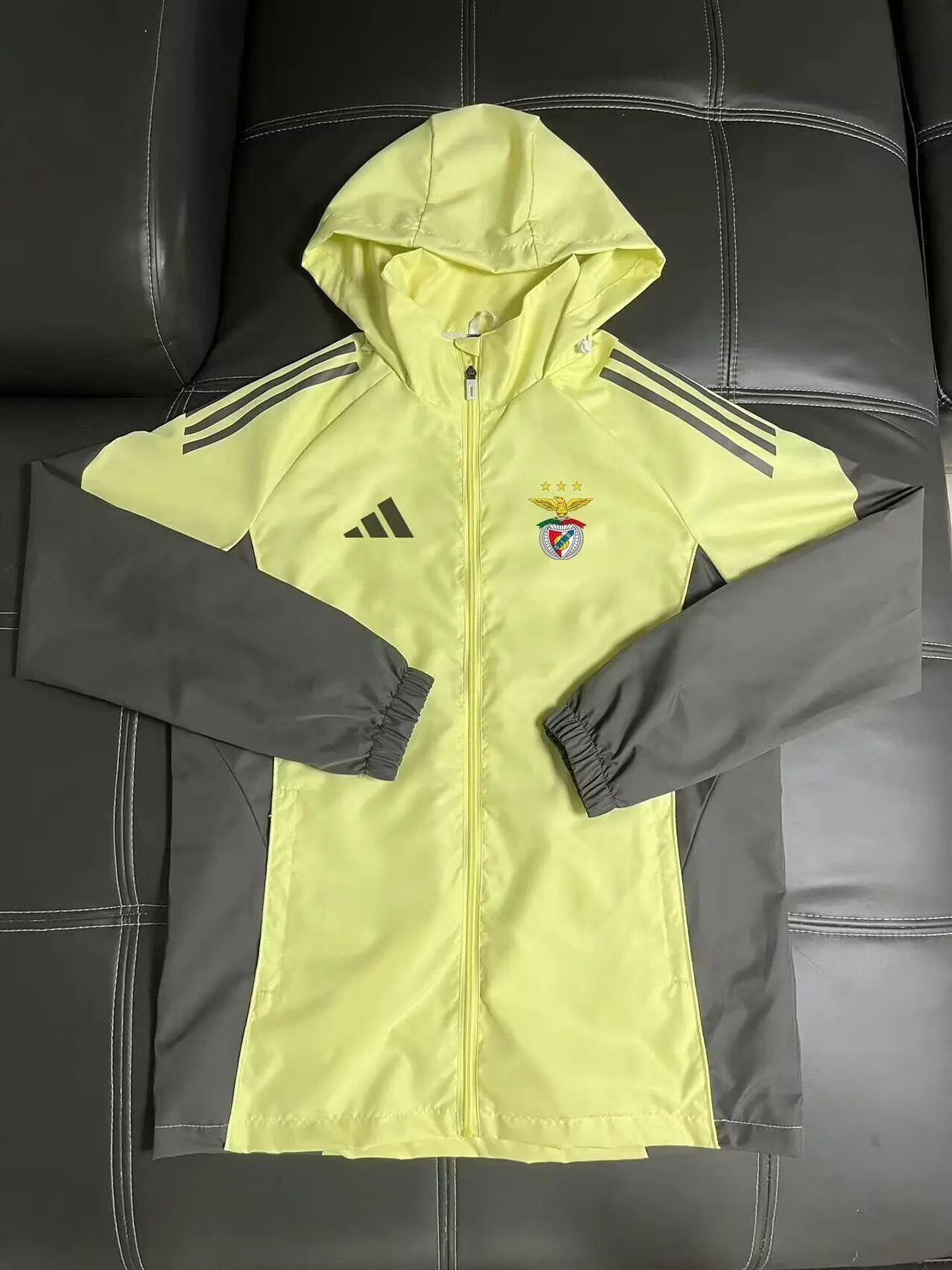 Benfica Corta-Vento 25/26 2