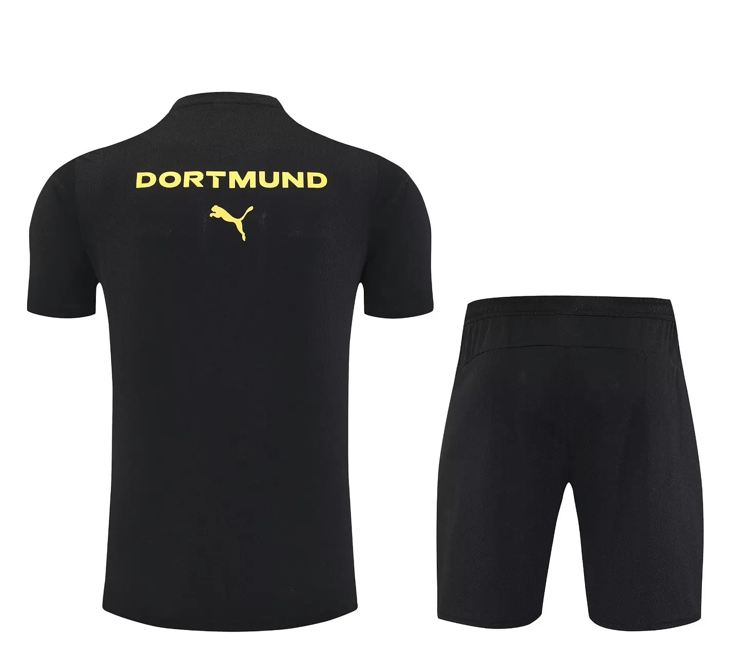 Dortmund Conjunto Treino 25/26 2
