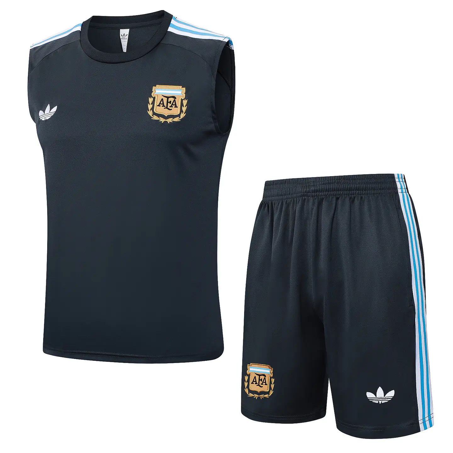 Argentina Conjunto Treino Manga Cava 25/26 2