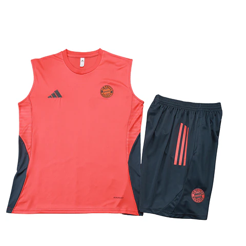 Bayern Conjunto Treino Manga Cava 25/26