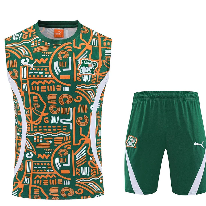 Costa do Marfim Conjunto Treino Manga Cava 25/26 2