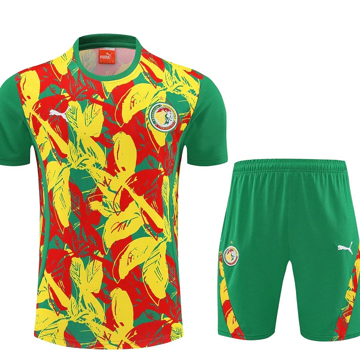 Senegal Conjunto Treino 26/27 2