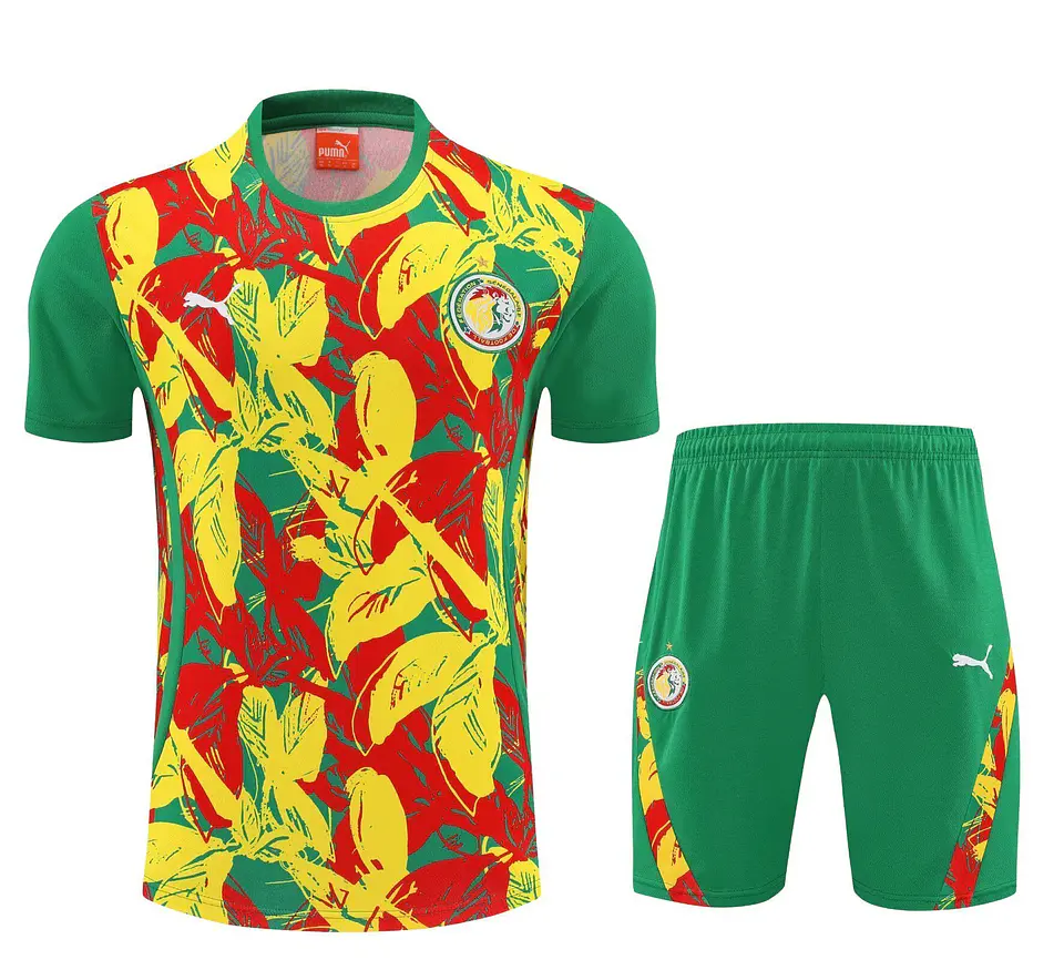 Senegal Conjunto Treino 26/27 2