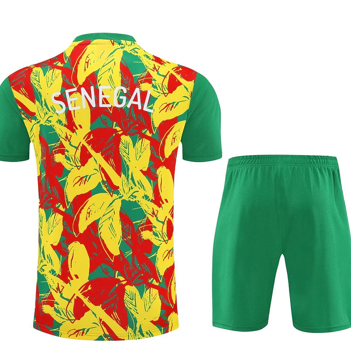 Senegal Conjunto Treino 26/27 3