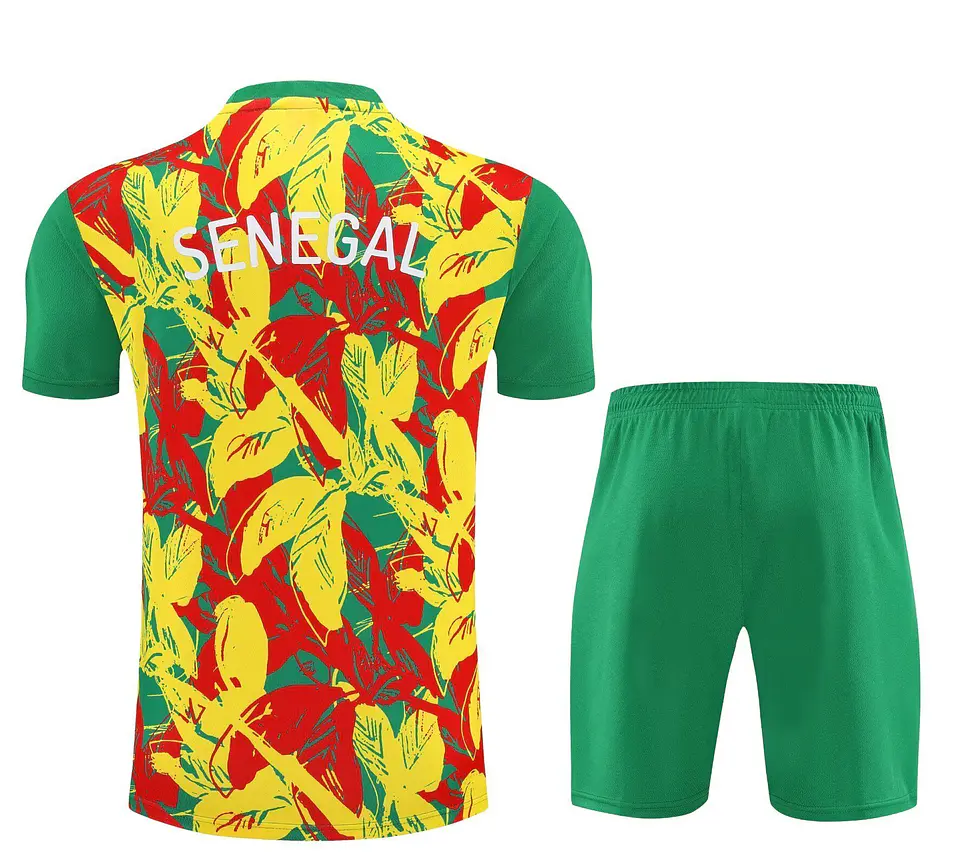 Senegal Conjunto Treino 26/27 3