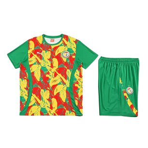 Senegal Conjunto Treino 26/27