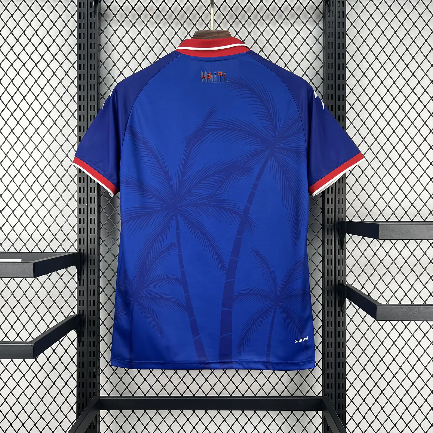 Haiti Home Mundial 2026 3