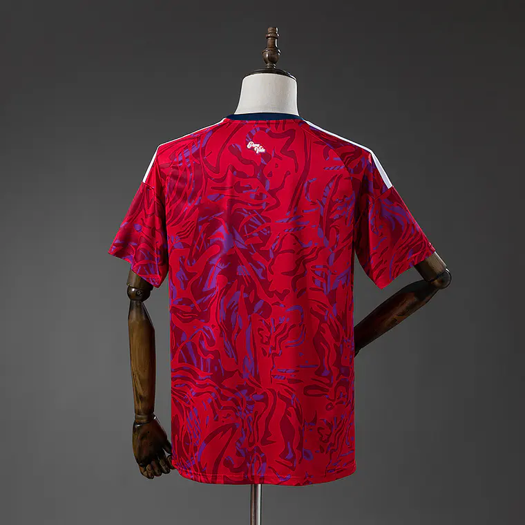 Costa Rica Home 2026 3