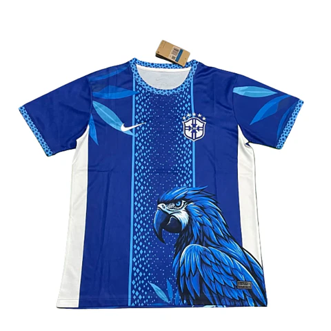 Brasil Especial 26/27