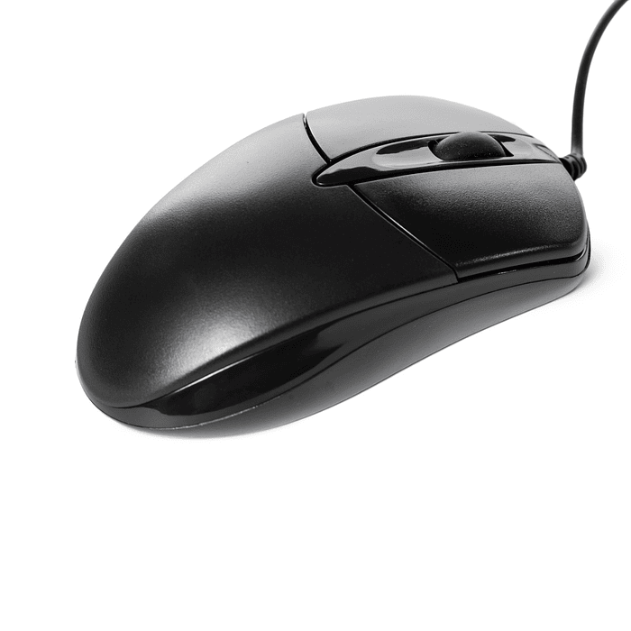 Demo Mouse 1