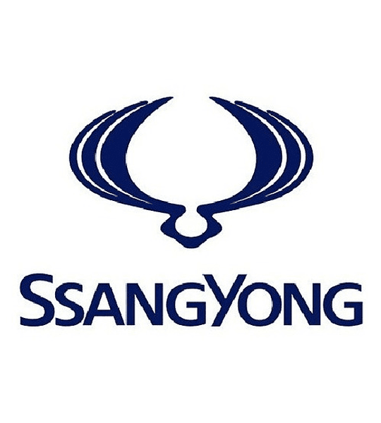 Bandeja Superior Ssangyong Rexton 2.0 2.7 2007-2018 El Par