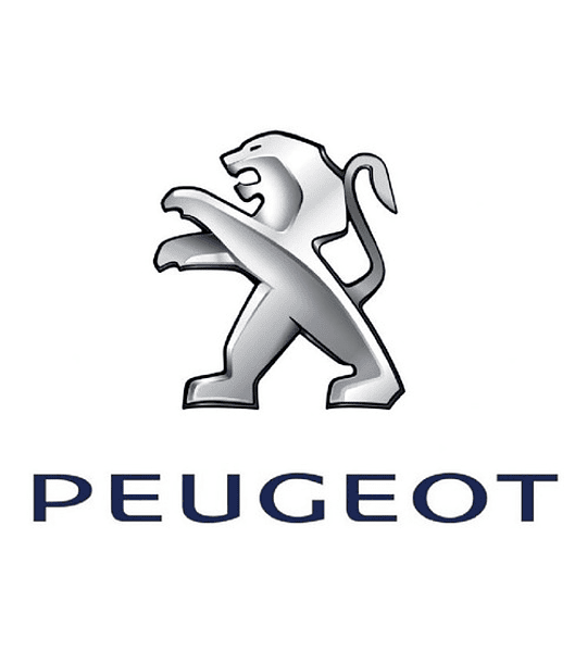 Discos Freno Delantero ( Par) Peugeot 107 1.4 2006-2011