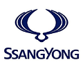 Par Amortiguadores Delanteros Ssangyong Kyron 4x2 2007-2017