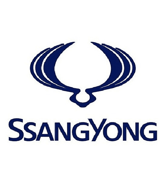Par Amortiguadores Delanteros Ssangyong Kyron 4x2 2007-2017