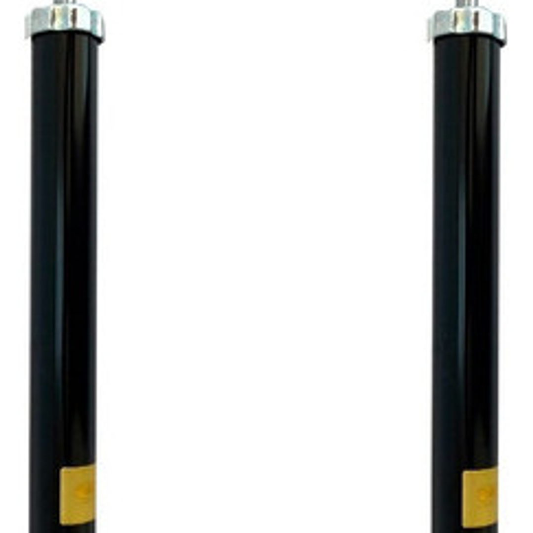 Par Amortiguadores Traseros A Gas Para Ford Ecosport 2003-12 1