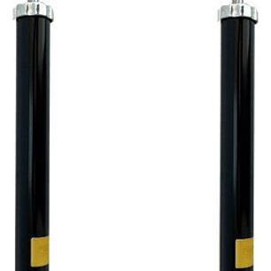 Par Amortiguadores Traseros A Gas Para Ford Ecosport 2003-12