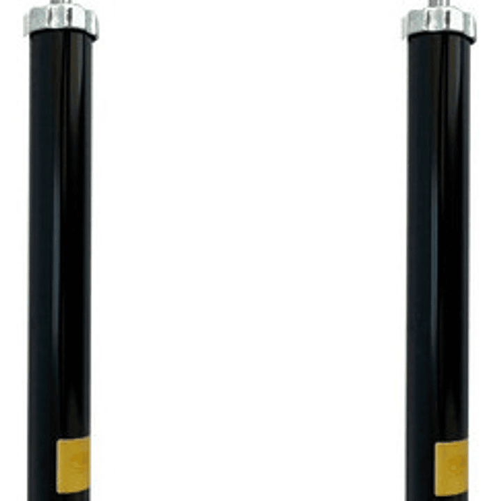 Par Amortiguadores Traseros A Gas Para Ford Ecosport 2003-12 1