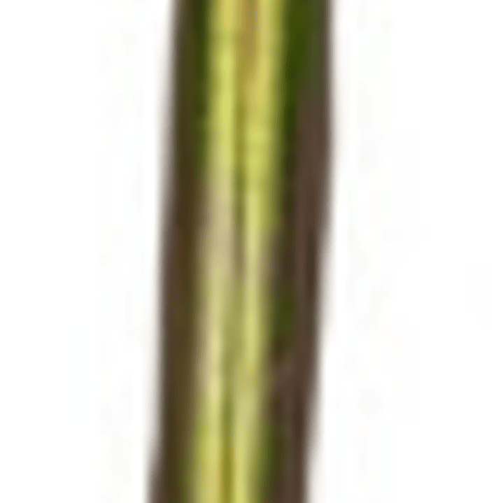 Piola Selectora Cambio Isuzu Npr 4.3 1994-1998 ( Ojo- Ojo) 3