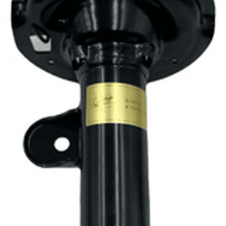 Par Amortiguadores Delantero Mg Zs 1.5 2017-2023 5