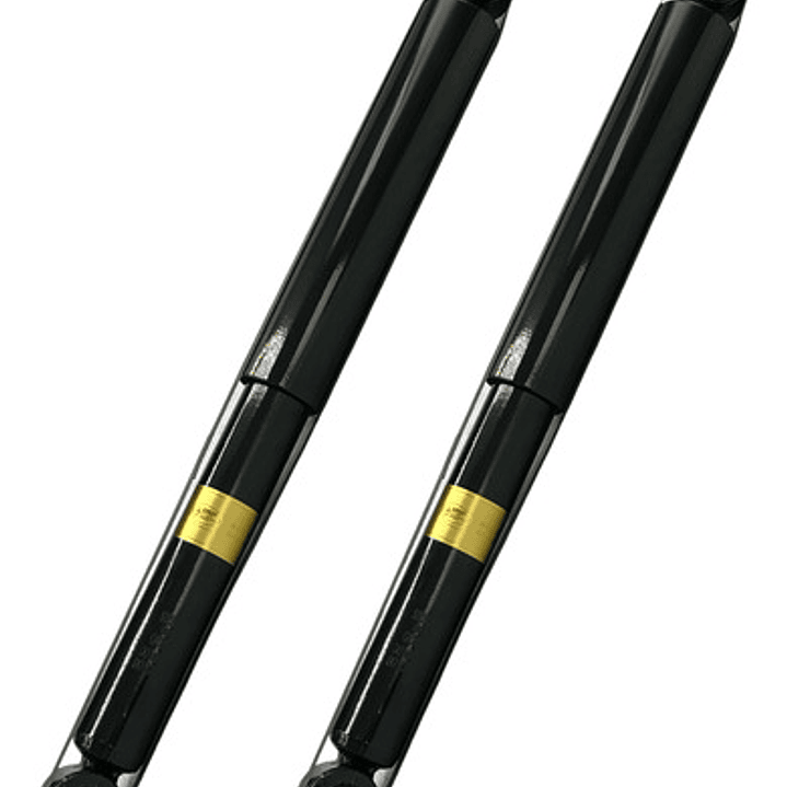 Par Amortiguador Trasero Para Dodge Durango 4.7 2004-2010 2