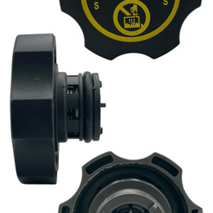 Deposito Agua Aux Radiad Chevrolet Orlando 2.0 12-17 C/tapa 10