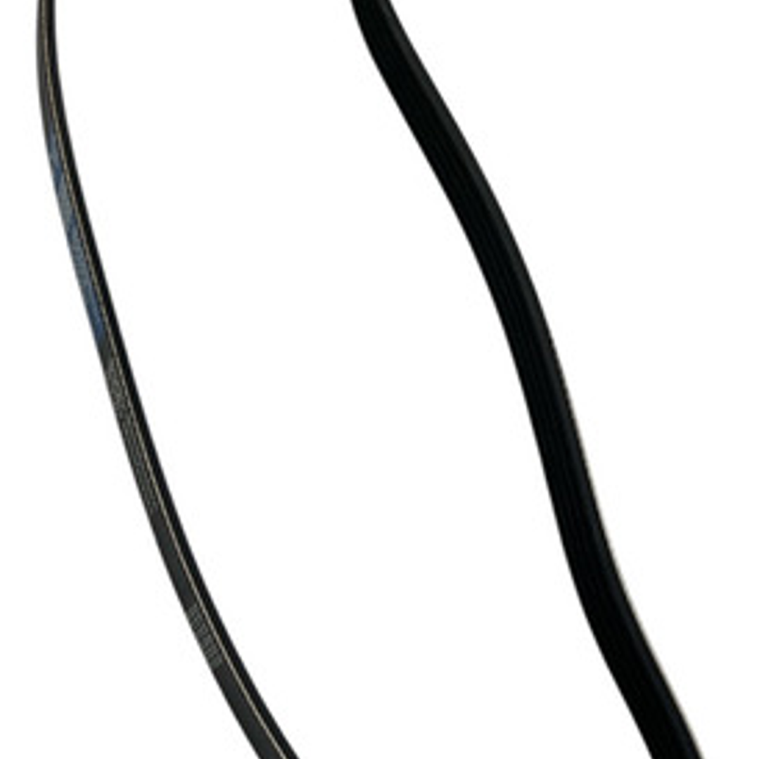 Correa Alternador Toyota Hilux 2.4 1998-2006 3