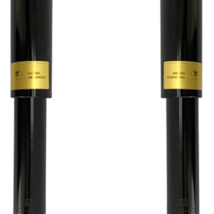 Par Amortiguador Traseros Para Chery Face 1.3 2008-2014 1